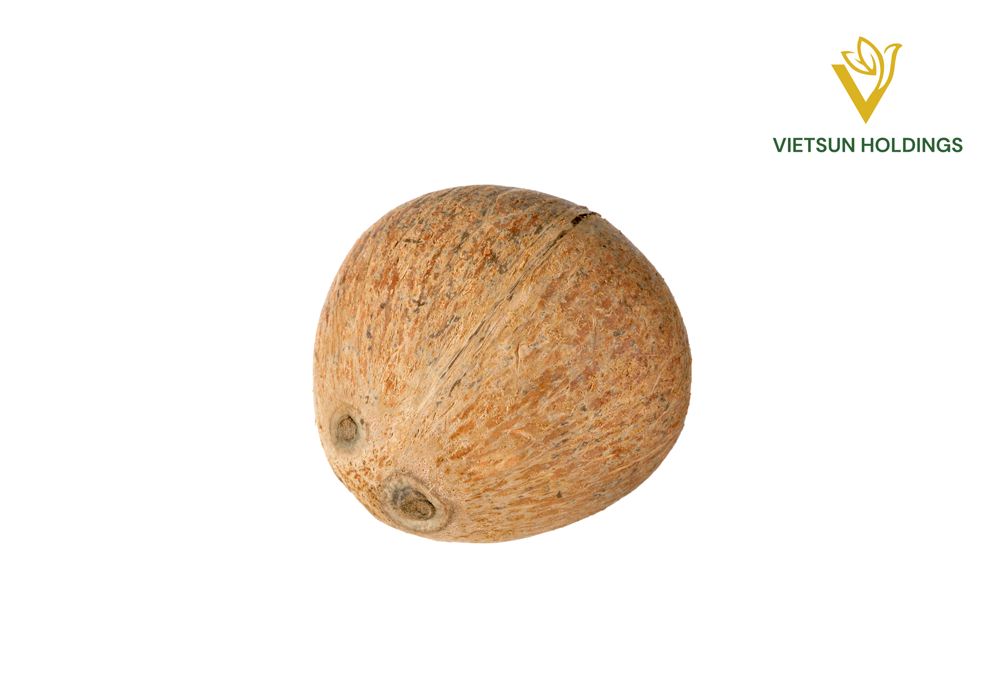 Matured Coconut 